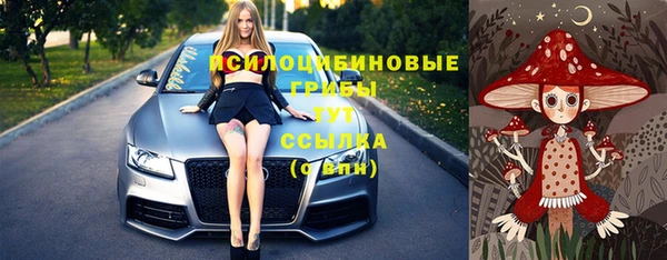 герыч Няндома