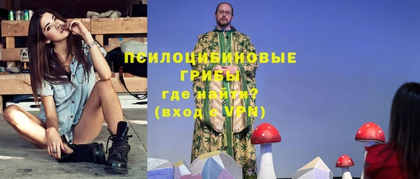 гидропоника Нязепетровск
