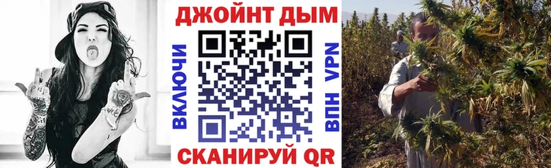 Бошки марихуана гибрид  продажа наркотиков  Пыталово 